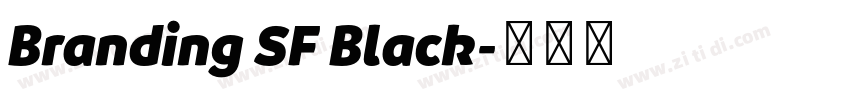 Branding SF Black字体转换